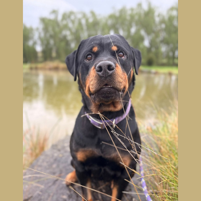 Photo of Milly