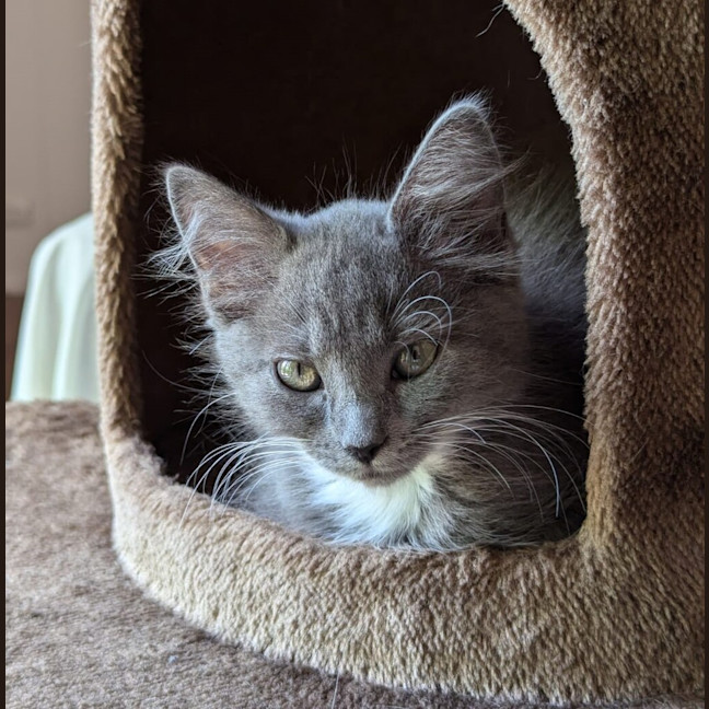 Photo of Suki