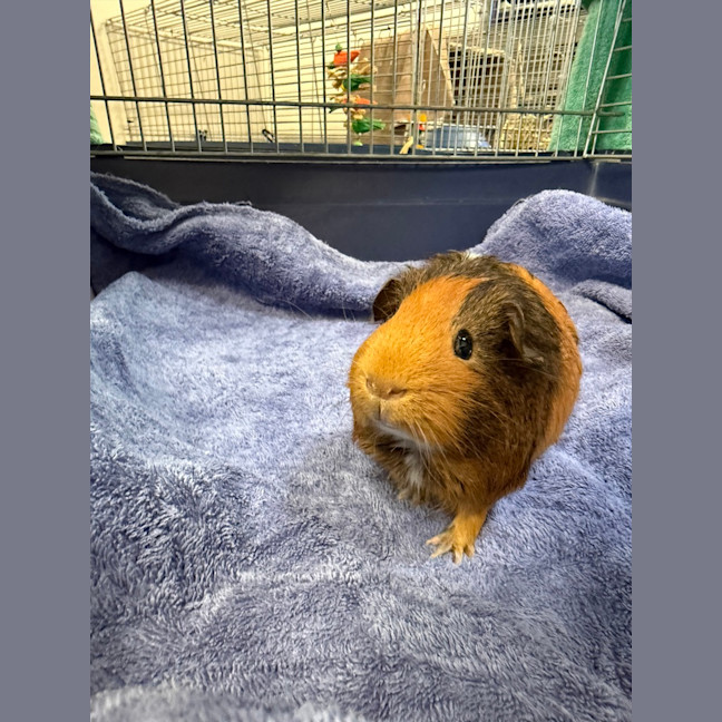 Photo of Phil