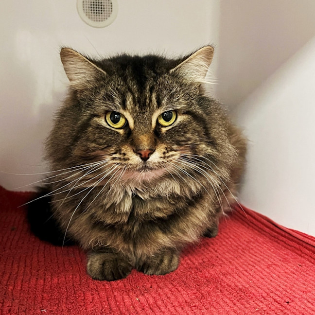 Photo of Monty Rsta012765