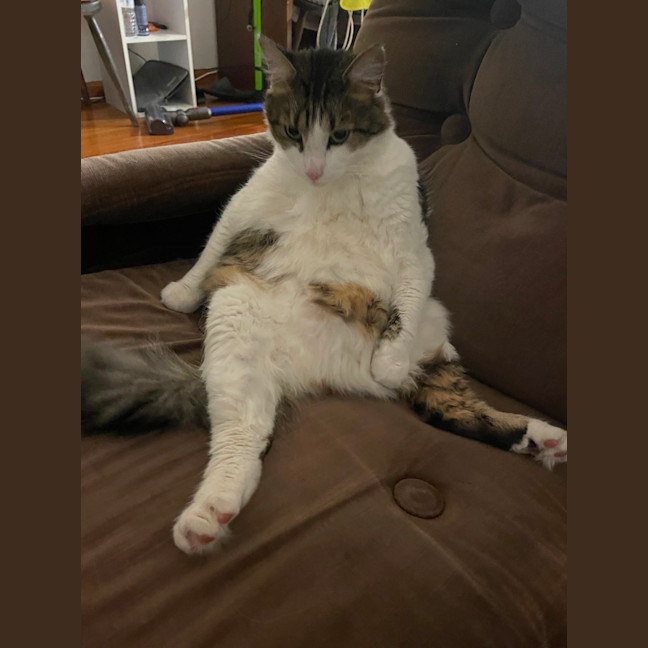 Photo of Ben