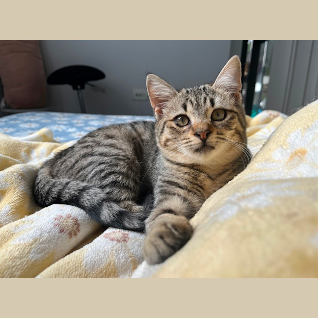 Photo of Dotti