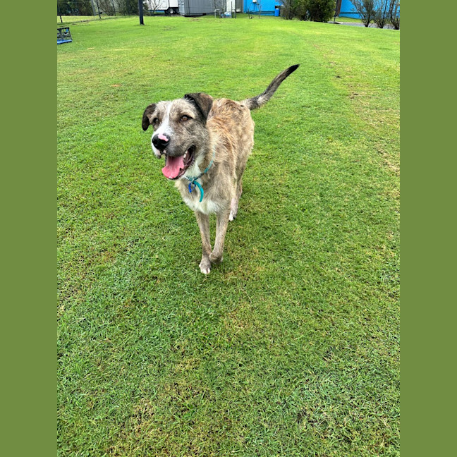 Photo of Turbo