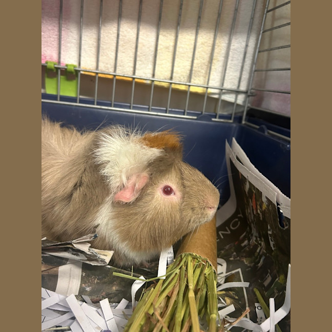 Photo of Eddy