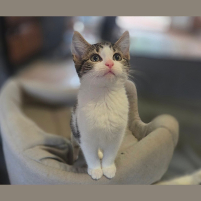 Photo of Precious