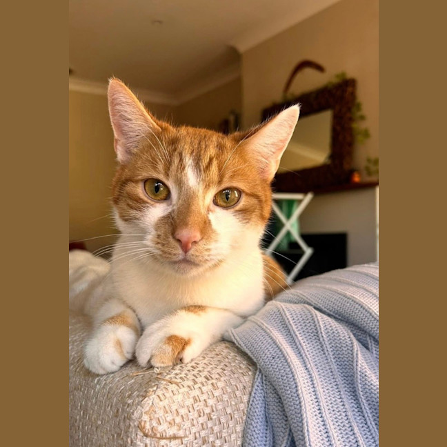 Photo of Jester 