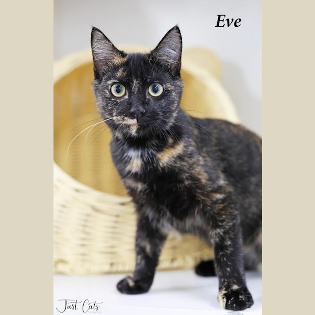 Photo of Eve