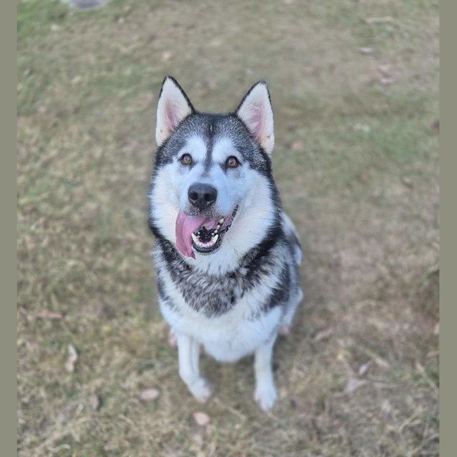 Photo of Delilah
