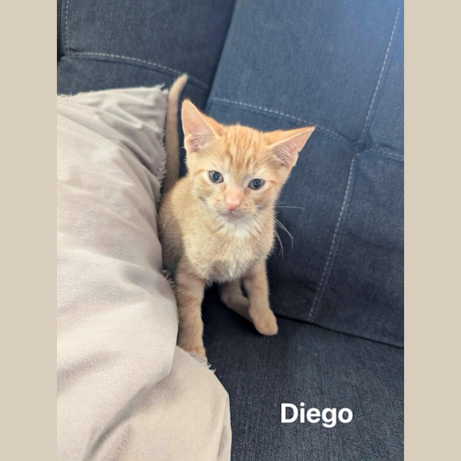 Photo of Diego