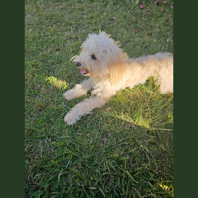 Photo of Princess