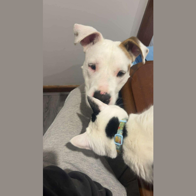 Photo of Arlo