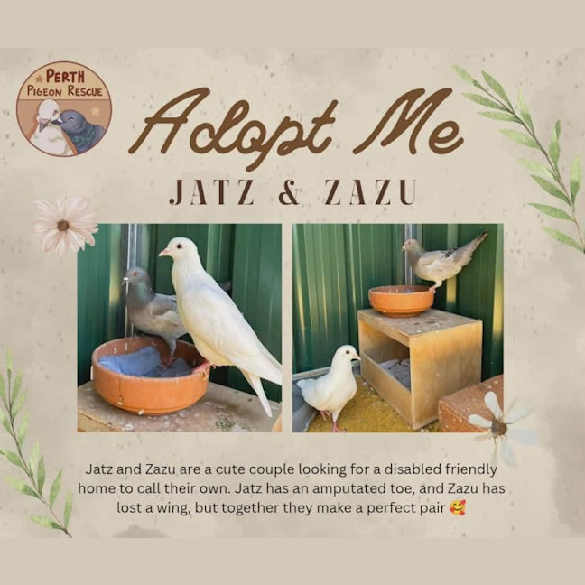 Photo of Jatz & Zazu