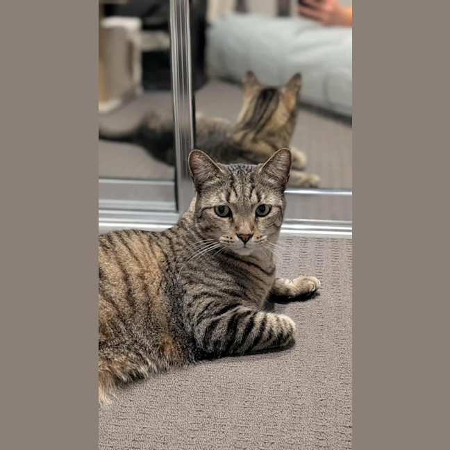 Photo of Storm
