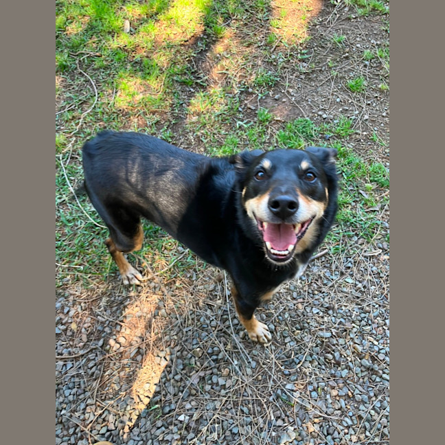 Photo of Fred