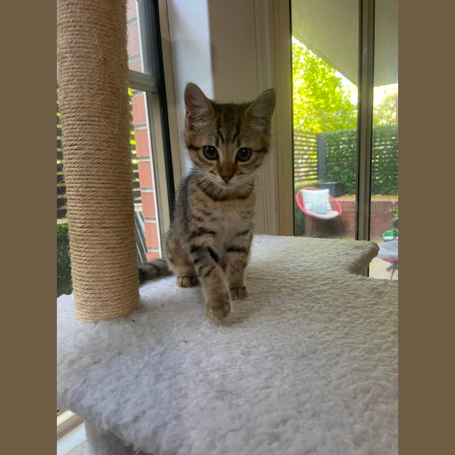 Photo of Mavis