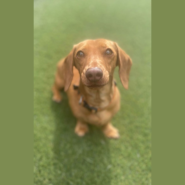 Photo of Tessa Young