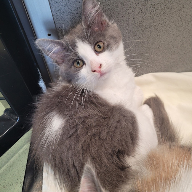 Photo of Mei