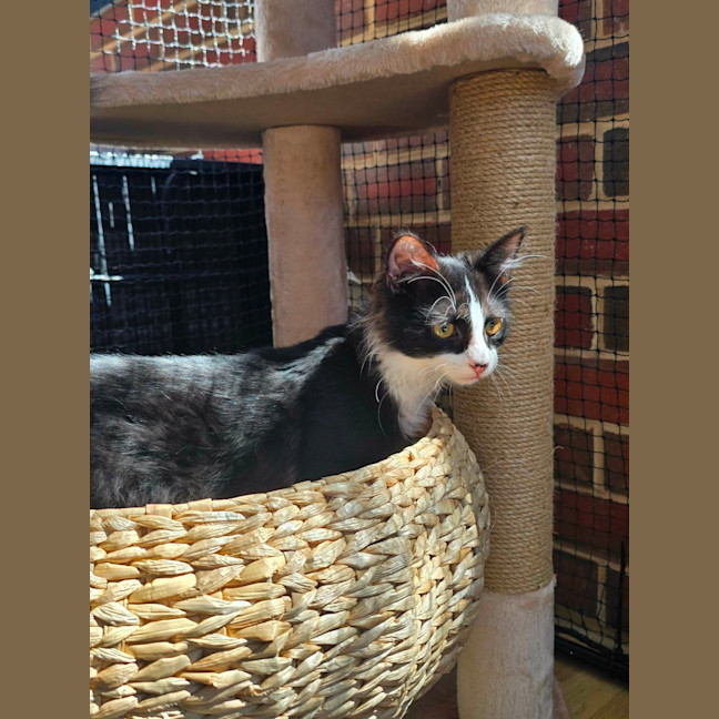 Photo of Bill