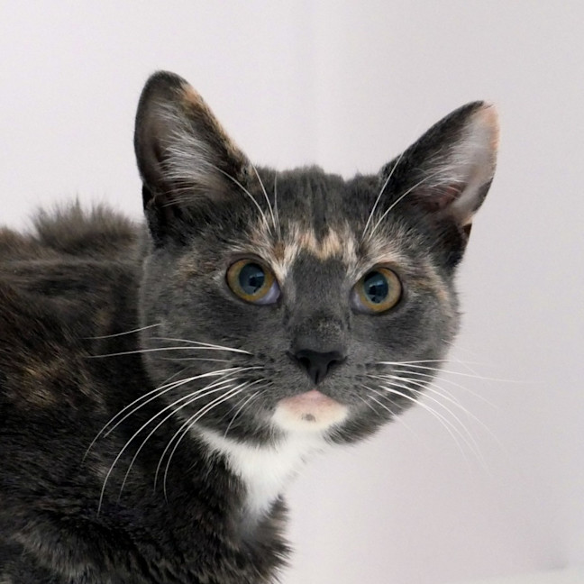 Photo of Lexi Sta014179