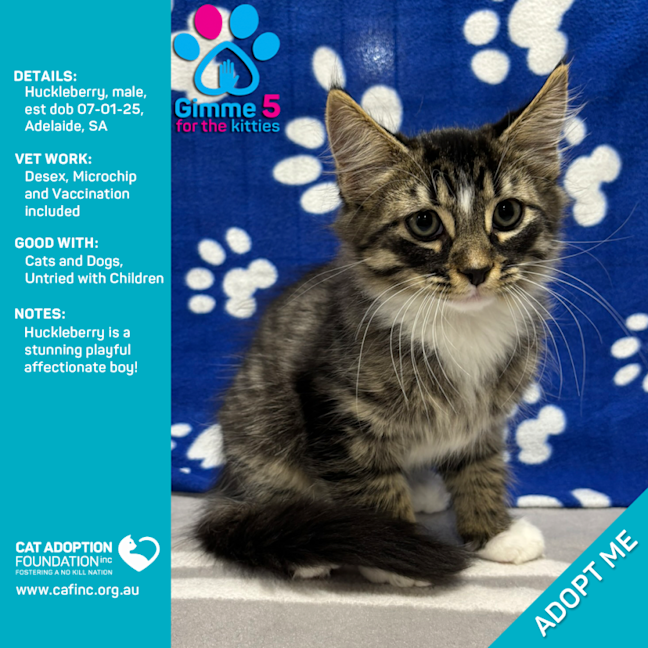 Photo of Huckleberry