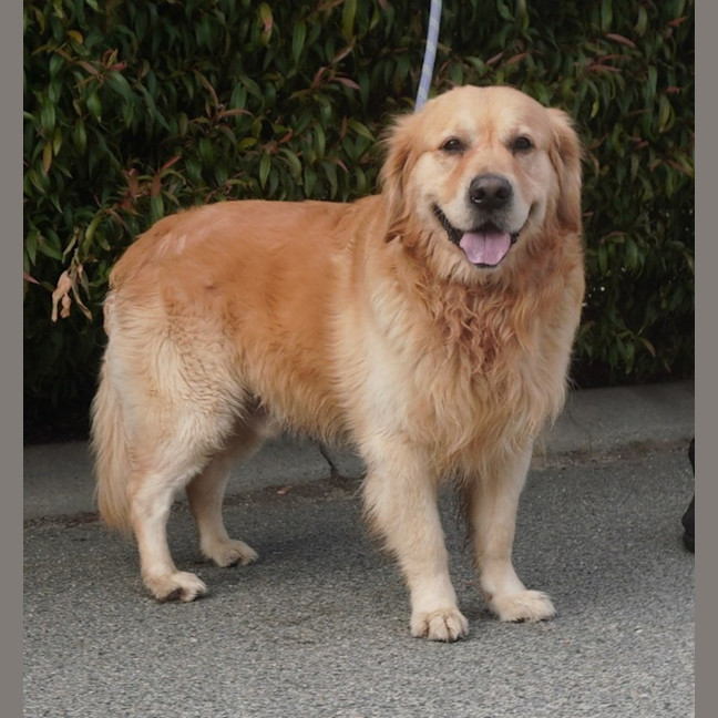 Photo of Carson