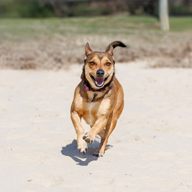 Photo of Milly Milly