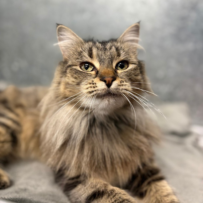 Photo of Wilma