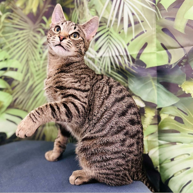 Photo of Lyle   Located In Preston 