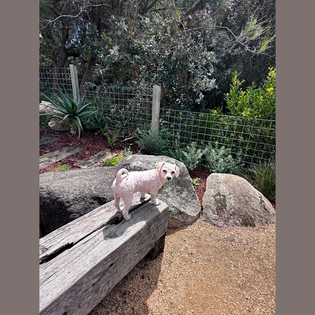 Photo of Dolly