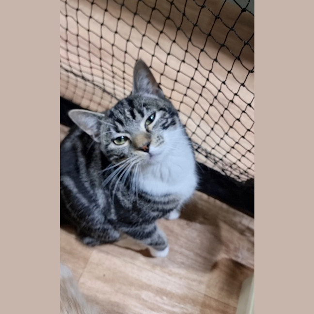 Photo of Bamble