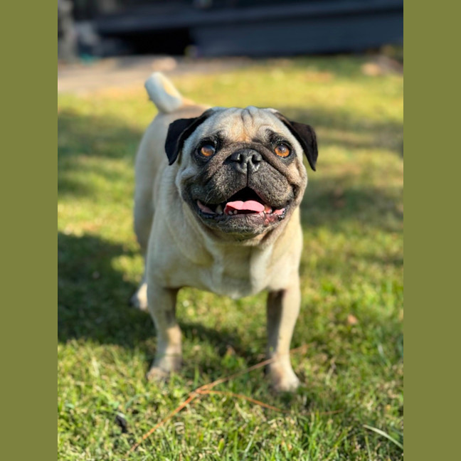 Photo of Casper 👻