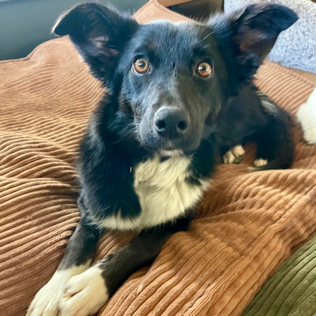 Photo of Milly