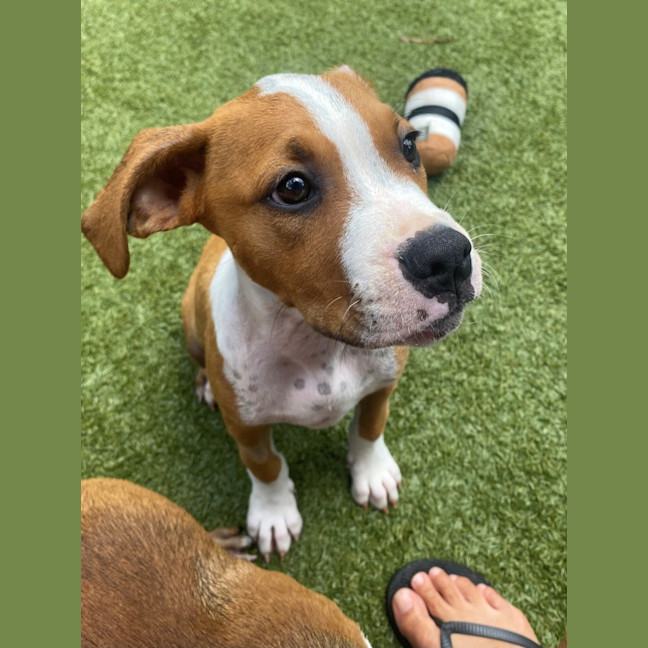 Photo of D1092 Frank 