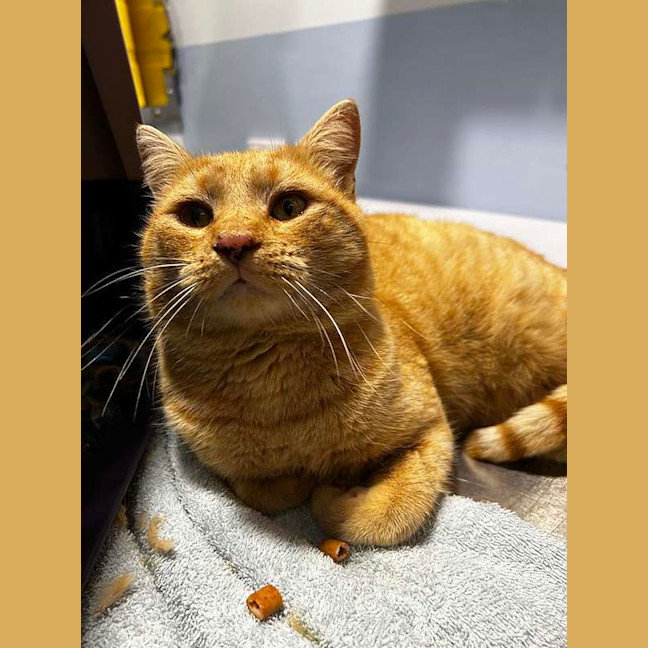 Photo of Ernie