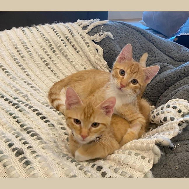 Photo of Ron & George