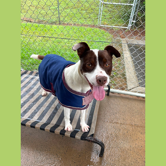 Photo of Penny