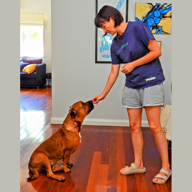 Photo of Princess (Prinny)