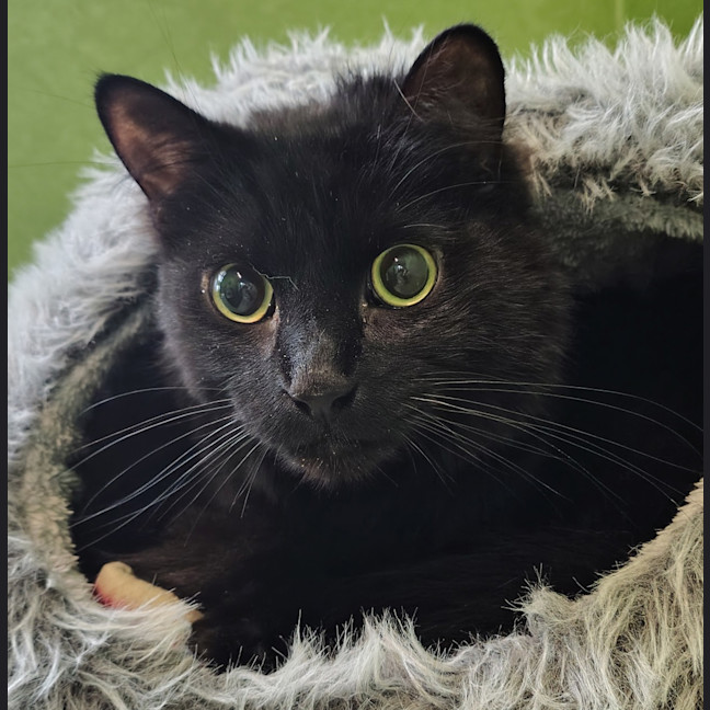 Photo of Zachary Binks