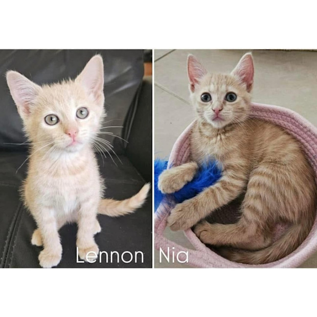 Photo of 11546/8   Nia & Lennon