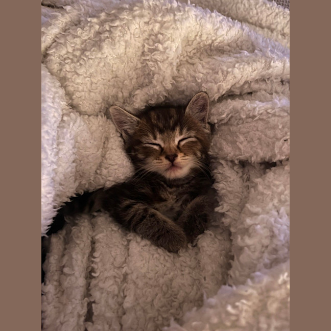 Photo of Mia