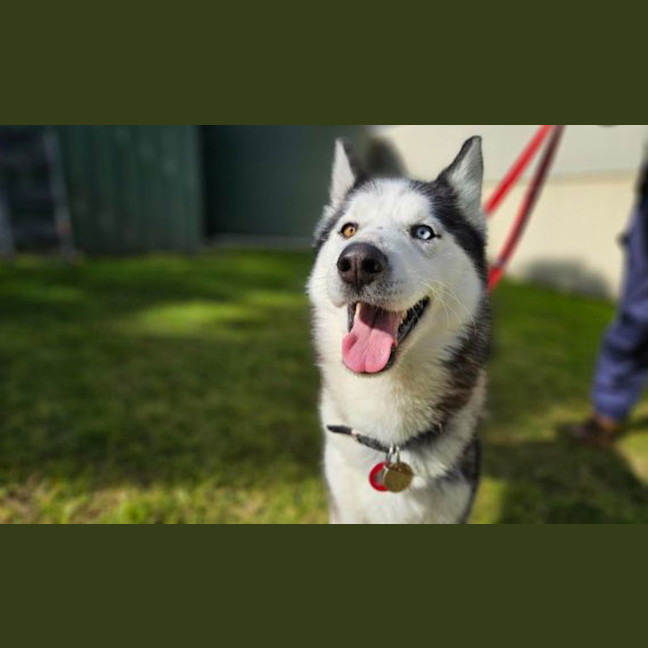 Photo of Max