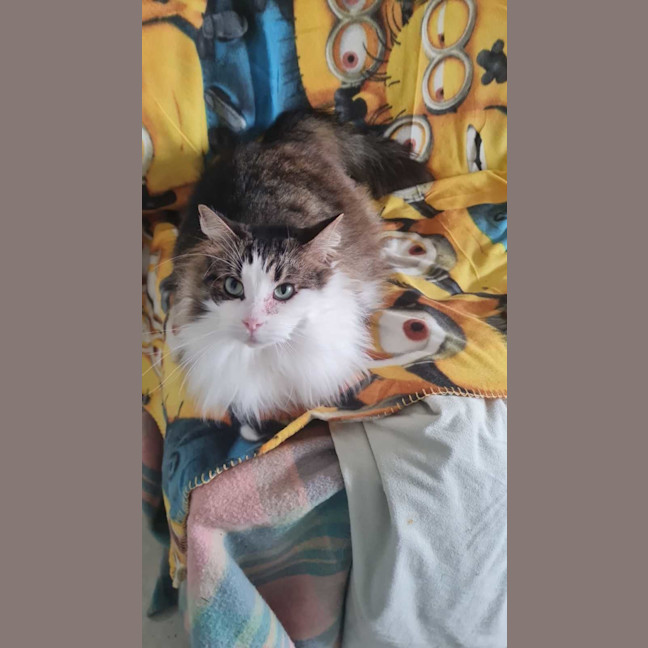 Photo of Zuzu