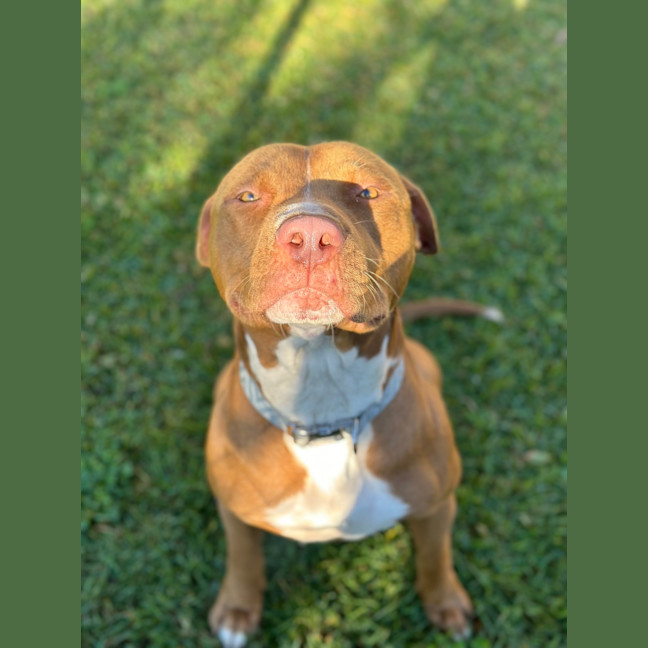 Photo of Boots