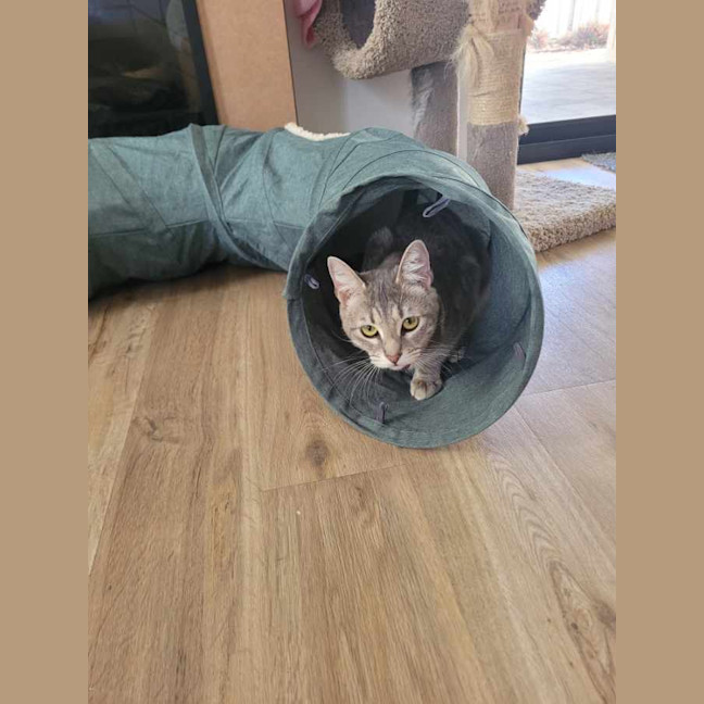 Photo of Nora