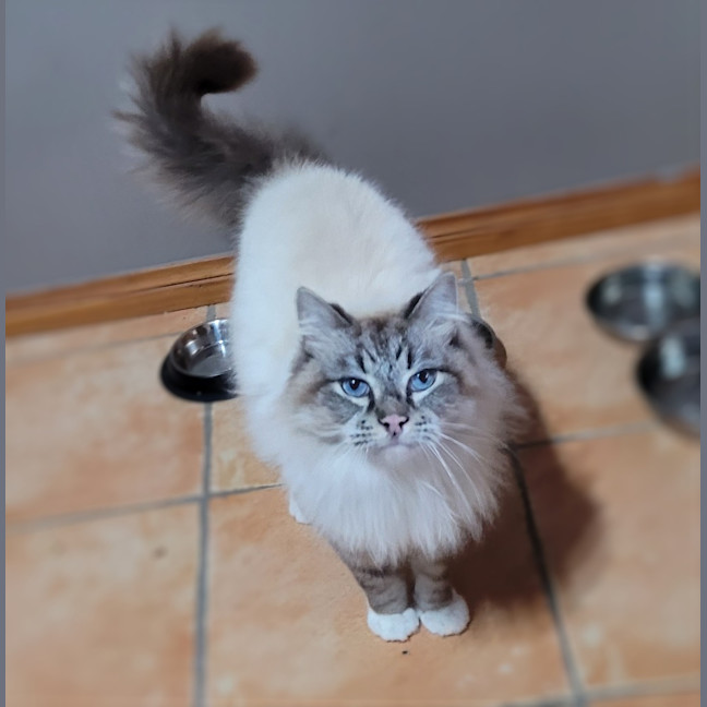 Photo of Zeus