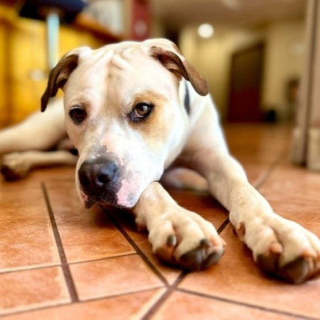 Photo of Happy