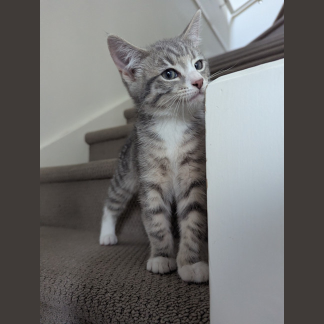 Photo of Isabella Scotty