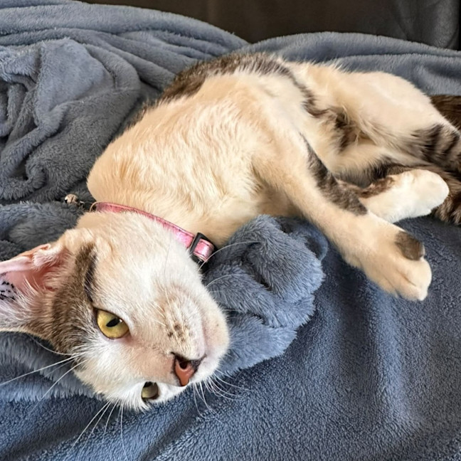 Photo of Cleopatra