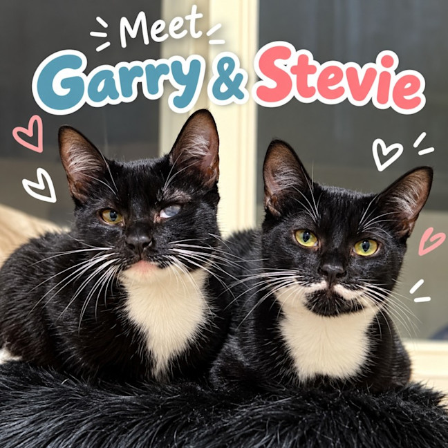 Photo of Garry And Stevie