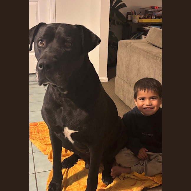 Photo of Scooby *$150 Adoption Fee*